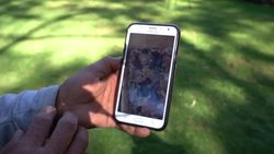 CLEAN : Revered by Aztecs Mexican hairless dog in style again in hipster era News Clip