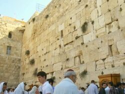 MS TU SLO MO Shot of religion combine common swift(Apus apus) nesting in western wall / Jerusalem, Judea, Israel Stock Footage