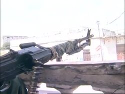 WRAP Street scenes, voxpops, ADDS supporters of government celebrate News Clip