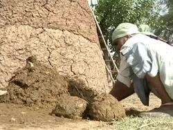 Woman making balls of manure Stock Footage