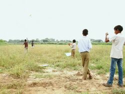Group of boys flying kite, Haryana, India Stock Footage