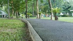 bike lens Stock Footage