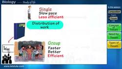 Introduction to Tissues in Plants and Animals Instructional Video