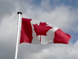 SHADOWS OF WAR: The Canadian National Vimy Memorial Stock Footage