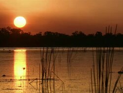 WS Sunset over water and mangroves / Kakadu National Park , Australia     Stock Footage