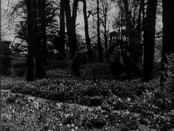 London Is Plunged In Riot Of Daffodils News Clip