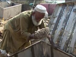 Floods lead to skyrocketing food prices, reax News Clip