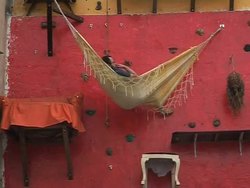 VOICED: Art takes new heights in Brazil News Clip