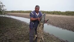 VOICED : Los efectos de la peor sequia en Chaco paraguayo en 19 anos News Clip