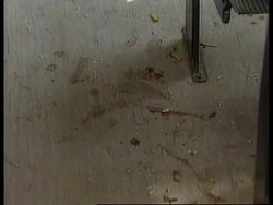 BOSNIA: 20 MUSLIMS WOUNDED IN BUS STONING INCIDENT News Clip