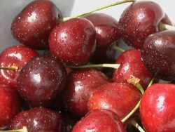 Bowl of cherry's on garden table Stock Footage