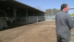 VOICED: Sequia preocupante en Francia News Clip