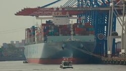 Containers port terminal at the harbor of Hamburg Stock Footage