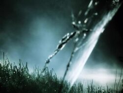 Spiderweb Stock Footage