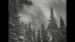 Ingrid Bergman touring parts of Minnesota where Swedish peoples have settled Stock Footage