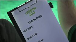 Keepers count the animals at London Zoo's annual stocktake Instructional Video