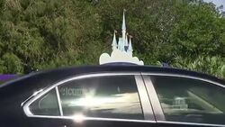 CLEAN : STOCKSHOTS: Alligator snatches toddler at Florida Disney resort News Clip