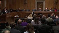 US senators condemn alleged UN sex crimes News Clip