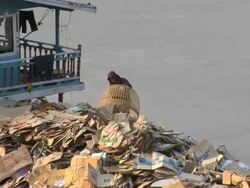 TU Bas-relief at Angkor Wat / Cambodia Stock Footage