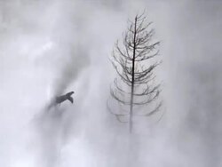 HD Flood Waves Destroying Valley (Loopable) Stock Footage