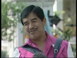 Celebrations for all-souls day News Clip