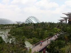 A Walk Through Singapore's Gardens By The Bay Stock Footage