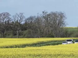 MS Cars driving on Road through flower field at Countryside near Caen / Vieux Pont, Normandy, France Stock Footage