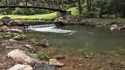 Nature concept. Nature park. USA Stock Footage