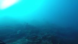 Underwater Adventure! What can YOU See? | Maddie Moate Instructional Video