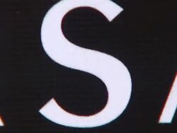 Rodeo Walk of Style Award Presentation to Gianni and Donatella Versace Stock Footage