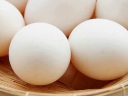 Eggs Stock Footage