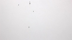 blot black Stock Footage