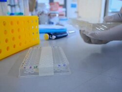 Scientist and bio lab experiment Stock Footage