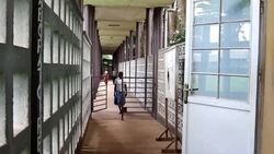 Nearly 700 get Ebola vaccine in Congo; more cases possible Instructional Video