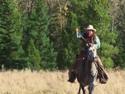 Cowboy galloping on horseback Stock Footage