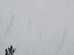 Snowy day Stock Footage