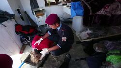 CLEAN : Bodies recovered after deadly Himalayan snowstorm News Clip