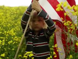 young boy displays his flag Stock Footage