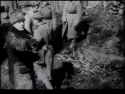 RUMANIA YIELDS - News Clip