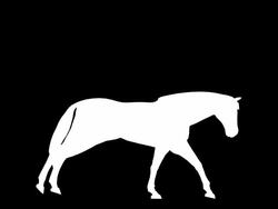 Gallop Horse (Loopable) Stock Footage