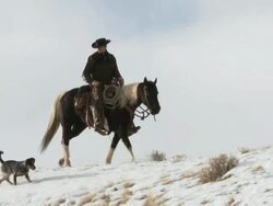 TS Cowboy riding horse on snowy ridge with dog following along / Shell, Wyoming, United States Stock Footage