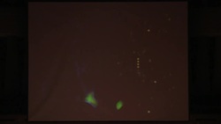 Ariel Garten: Know thyself, with a brain scanner Instructional Video