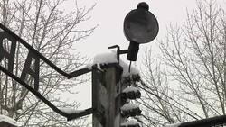 Emotional return for Auschwitz survivors News Clip