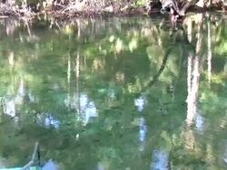 Natural Spring Water Stock Footage