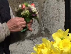 HD: Making A Bouquet Stock Footage