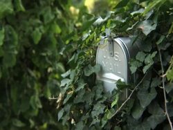 Getting parcel Stock Footage