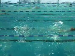 MS T/L Shot of Swimmers cross paths in in-door swimming pool / London, United Kingdom  Stock Footage