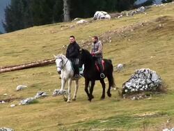 HD: Horseriding In Nature Stock Footage