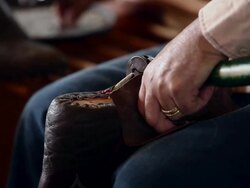 CU TU boot maker stretching and tacking vamp to sole of cowboy boot Stock Footage