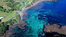 Goat Island Stock Footage